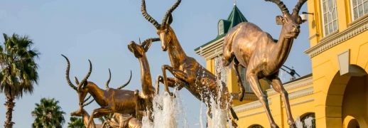 Business class flights to Johannesburg